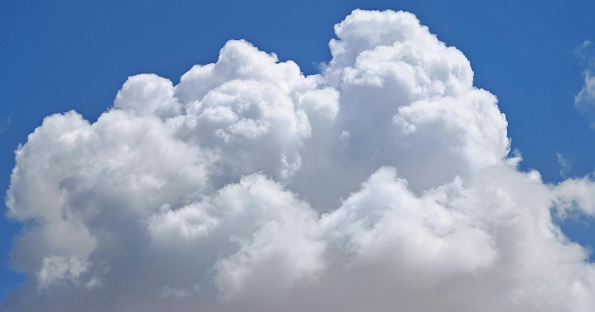 Participants in a river marriage ceremony celebrating nature and climate awareness