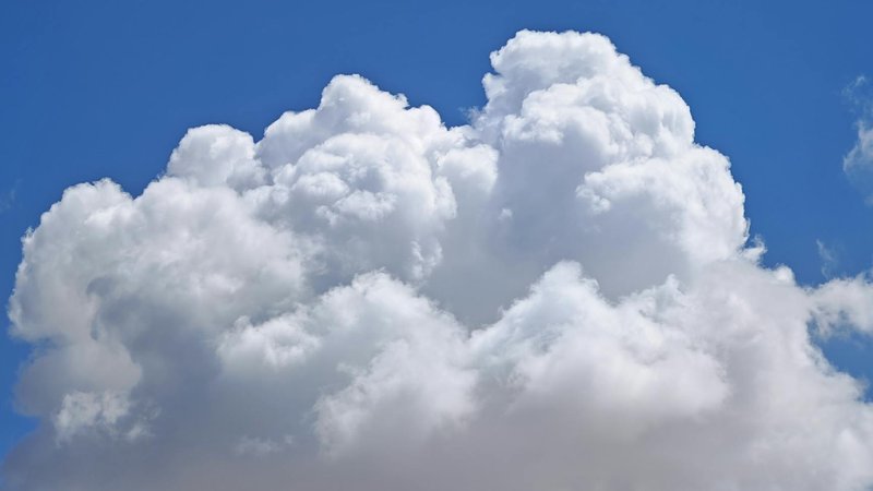 Participants in a river marriage ceremony celebrating nature and climate awareness