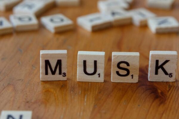 Tesla’s Leadership Shakeup: What It Means for Your Money and Car Review