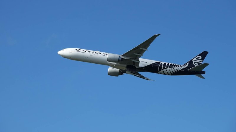 Air New Zealand's Skynest design showcasing innovative bunk beds for travelers.
