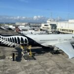 Air New Zealand Skynest bunk beds designed for economy travelers