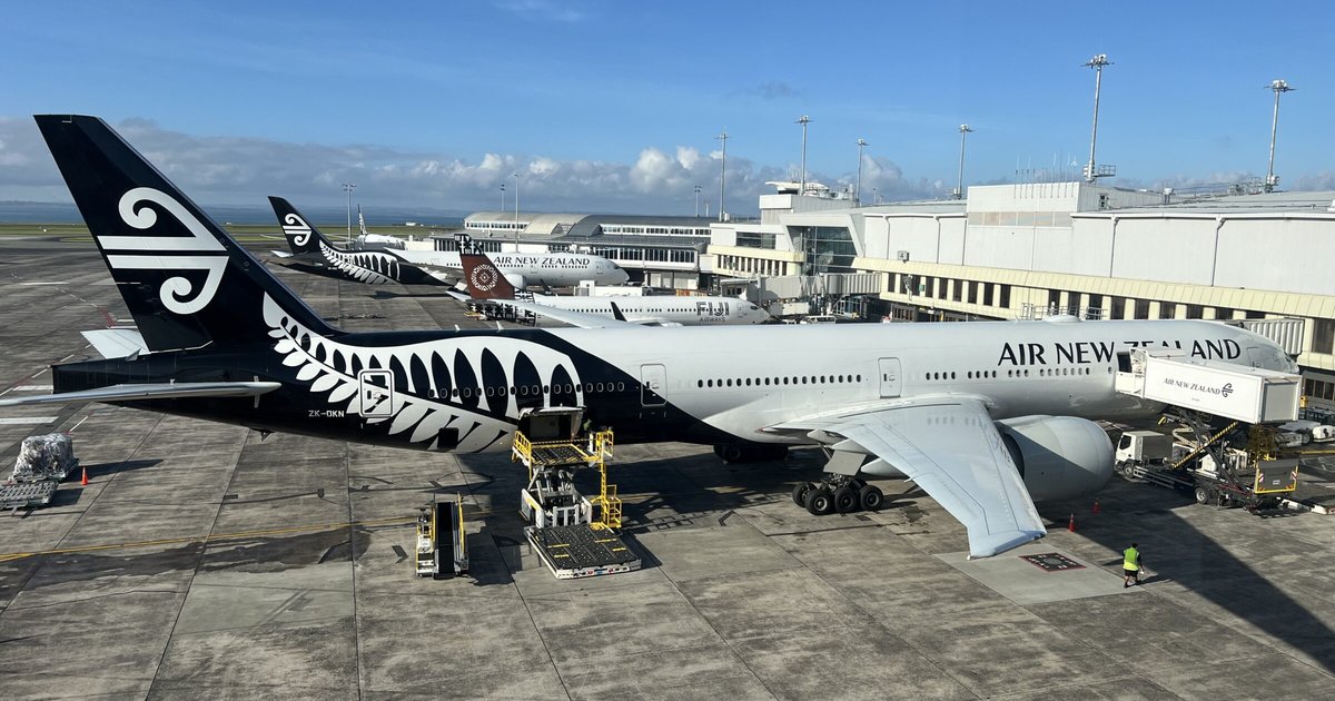 Air New Zealand Skynest bunk beds designed for economy travelers