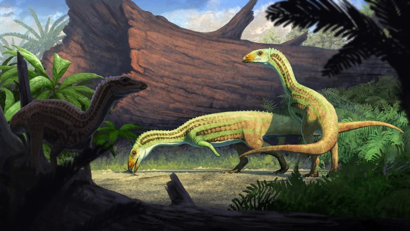 Ancient Reptile Walked on Two Legs