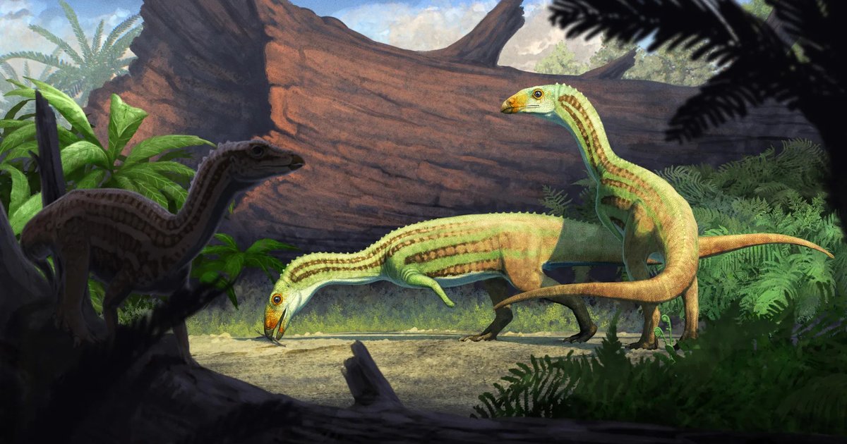 Illustration of an ancient crocodile relative showcasing its transition from four legs to two