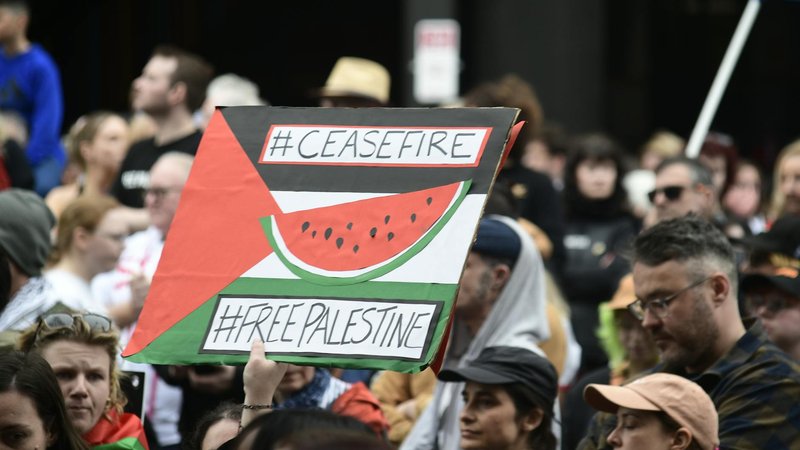 Australia Lebanon ceasefire announcement — World News