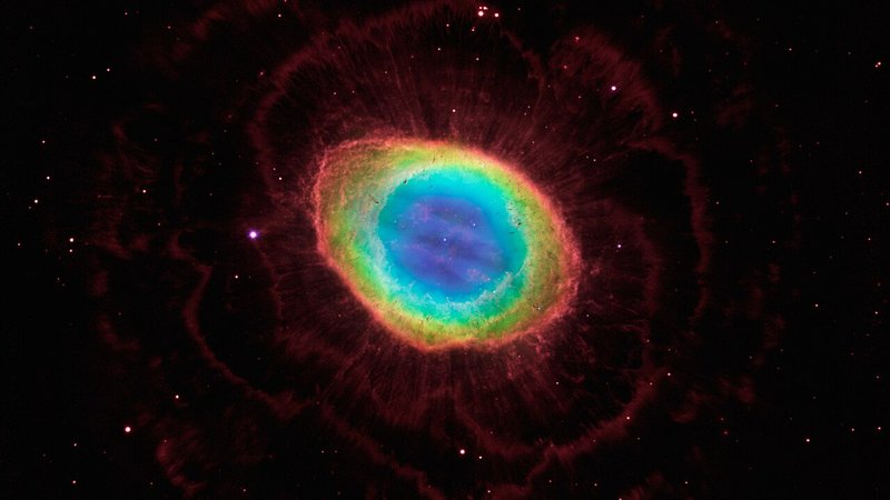 breeding analysis — World News news and insights