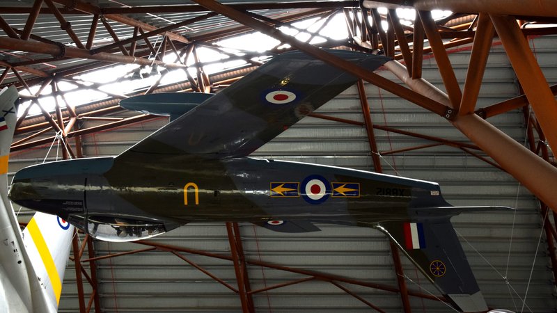 chimpanzee group interactions — World News