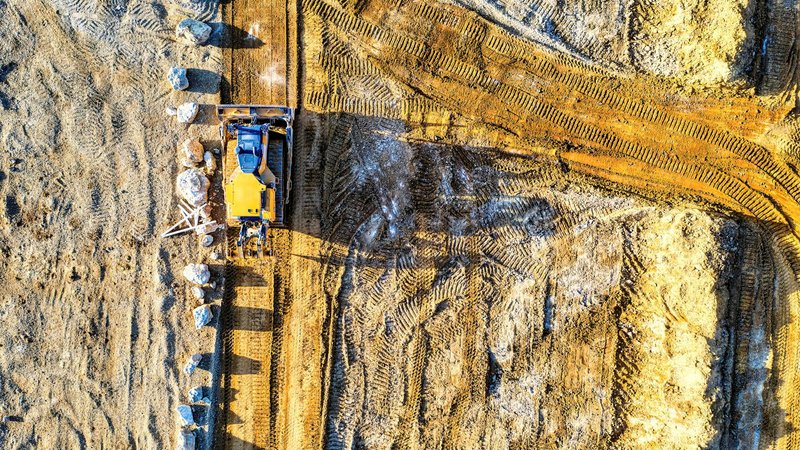 A vibrant dandelion blooming in a crack on an urban pavement, symbolizing resilience.