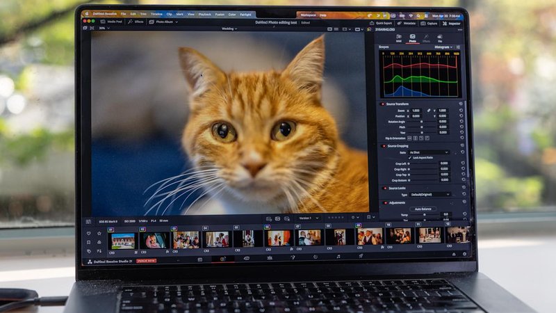 Steve Dent for Engadget