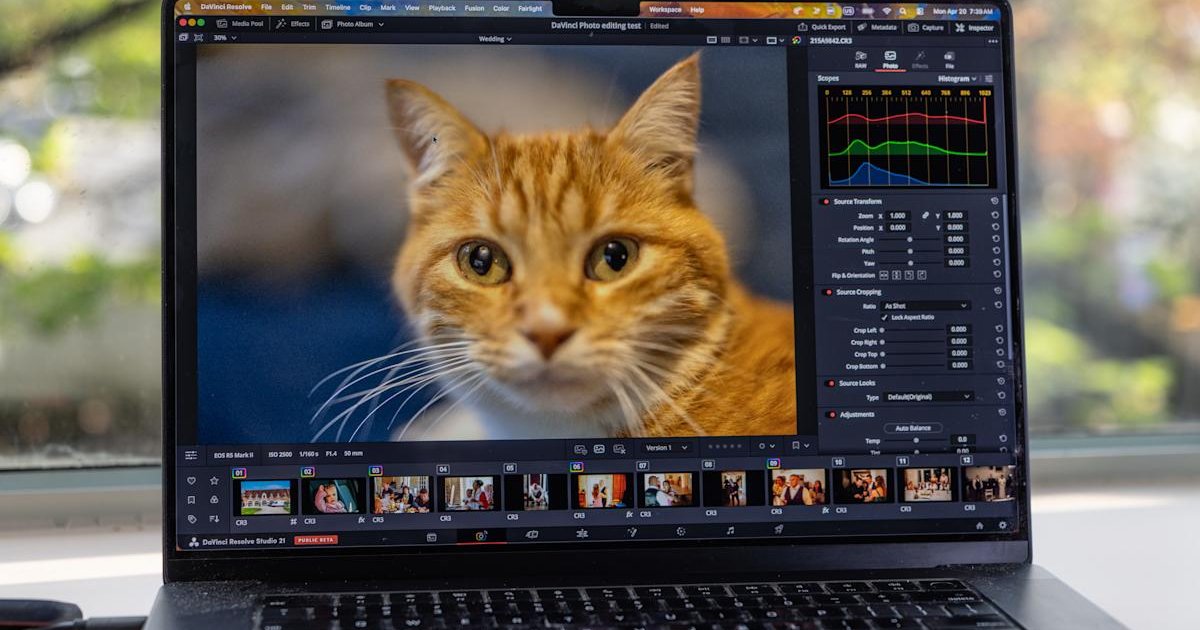 Screenshot of DaVinci Resolve 21 showcasing new photo editing features
