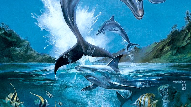 Ecco the Dolphin