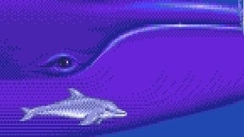 "It was just there: dolphin, dolphin, dolphin"