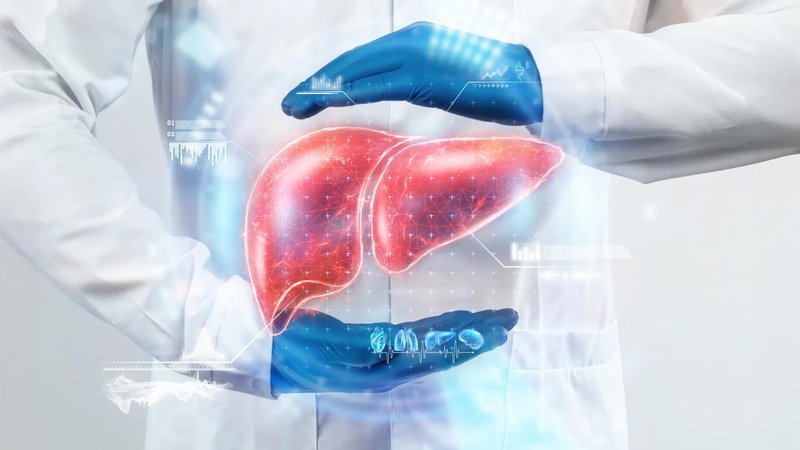 Drug Combo May Reverse Fatty Liver Disease