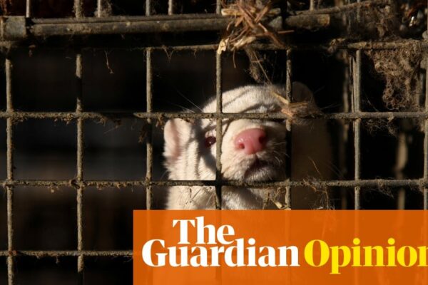Fur Farming’s Hidden Threat: A Looming Risk to Public Health
