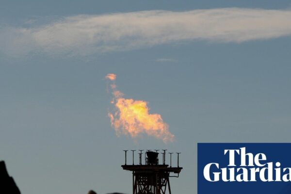 Albanese’s Rejection of Export Tax: Trending Decision Costs Australia