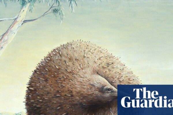 Giant Echidnas in Victoria: Academic Research Reveals Hidden History
