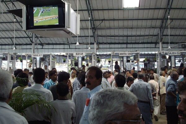 A graphic illustrating the connection between legal sports betting and national security risks.