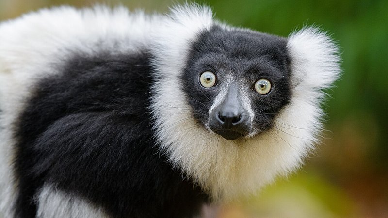 mobile apps analysis — Tech news and insights