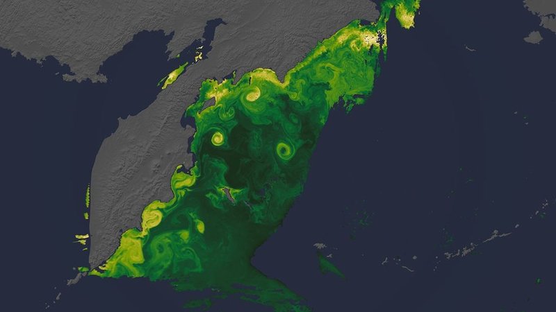 New NASA Views of Earth, From (S)PACE