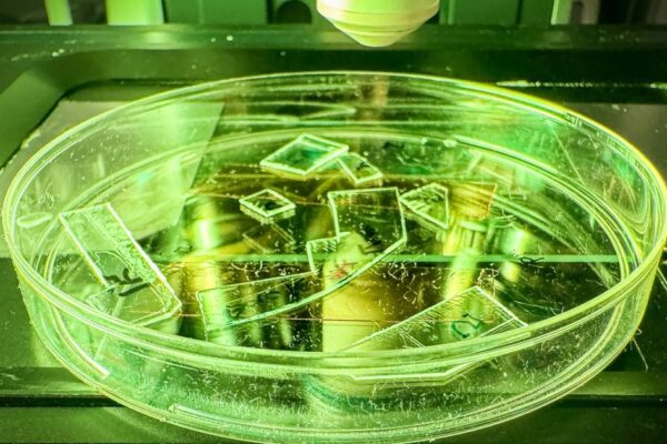 A scientist examining a new plastic material that destroys viruses, symbolizing innovation in academic research.