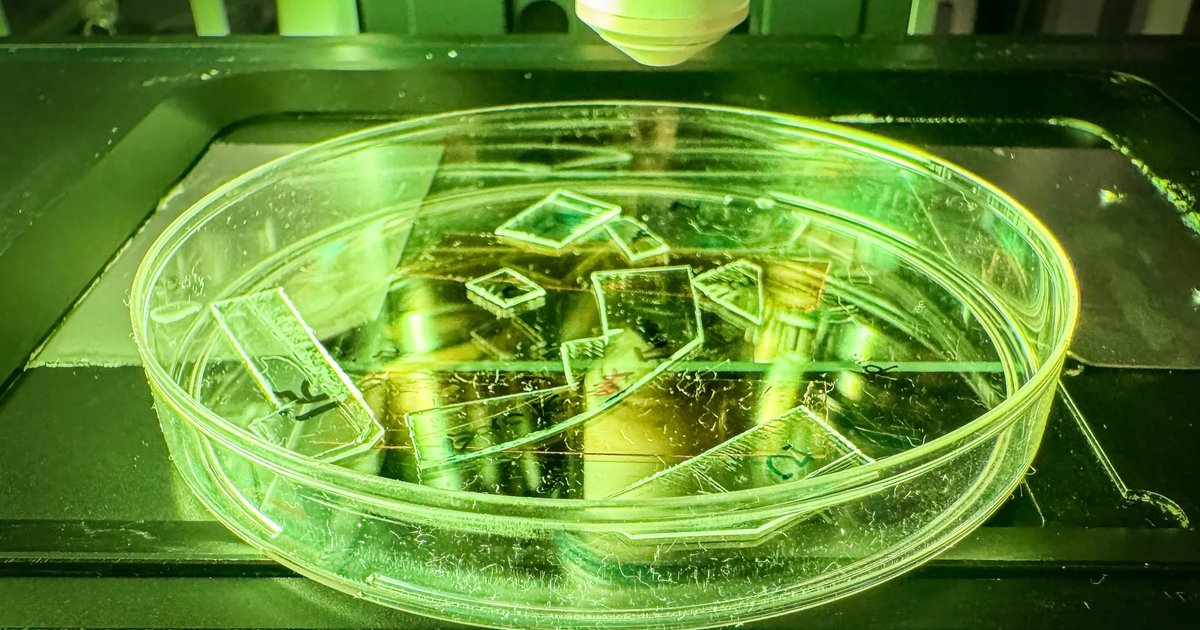 A scientist examining a new plastic material that destroys viruses, symbolizing innovation in academic research.