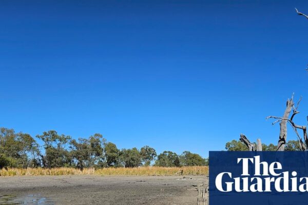 A dried-up wetland in NSW, highlighting the impact of failed river improvements.