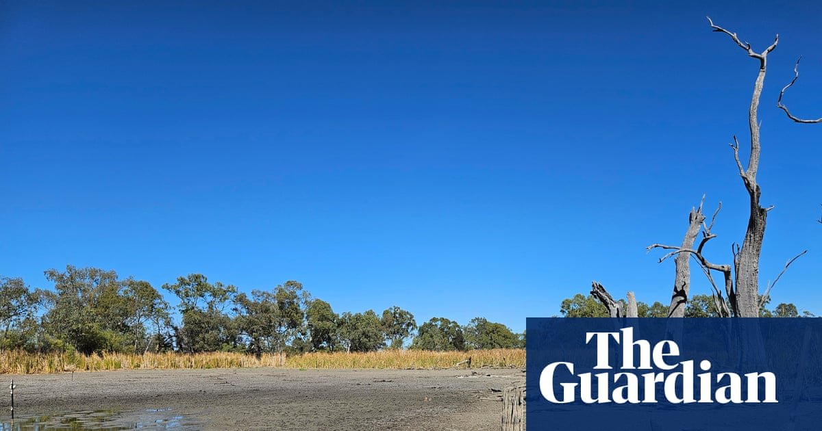 A dried-up wetland in NSW, highlighting the impact of failed river improvements.