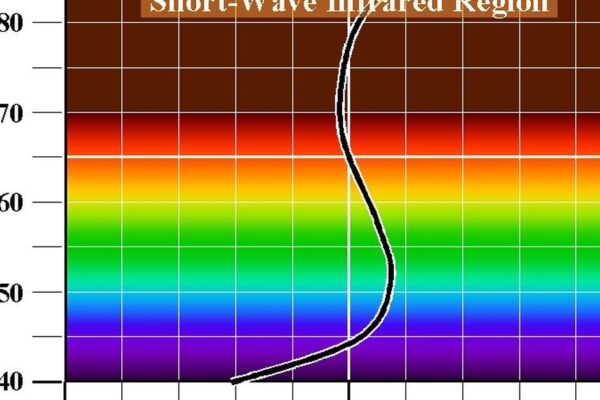 Trending: The Real Quantum Race Shifts Focus from Hardware to Software