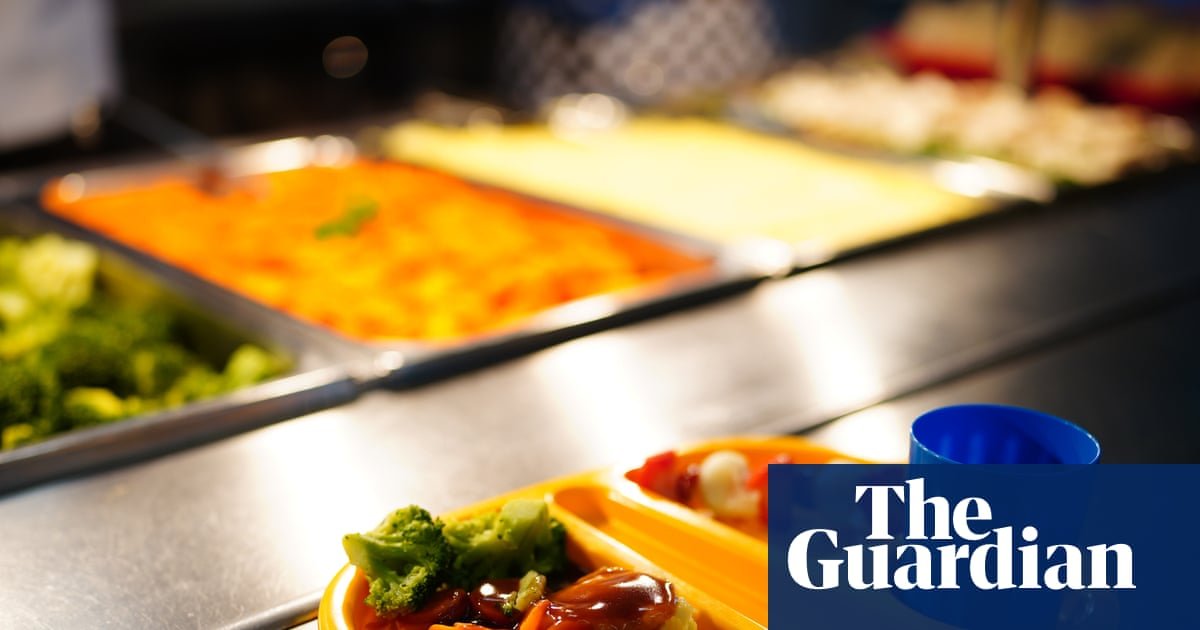 School children eating healthy meals in England, highlighting public health concerns