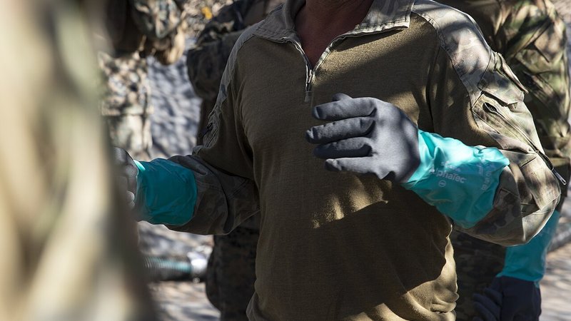 Singapore PM Lee Hsien Loong — World News