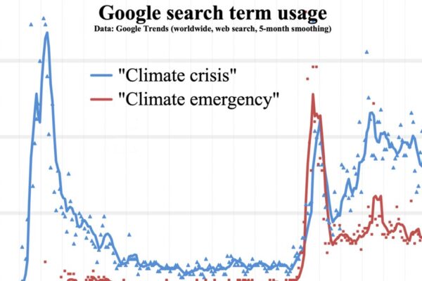 A picturesque Swiss Alpine farm struggling with staff shortages amid beautiful mountain scenery.