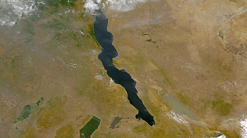 Trump speaking at a podium with flags of Australia, Japan, and South Korea in the background.