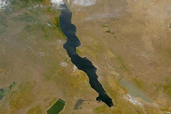 Trump speaking at a podium with flags of Australia, Japan, and South Korea in the background.