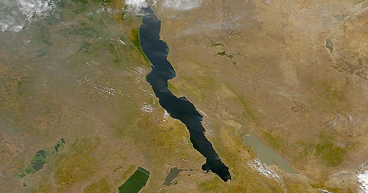 Trump speaking at a podium with flags of Australia, Japan, and South Korea in the background.