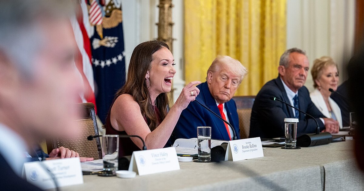 A group of diverse activists discussing mental health and Trump's health agenda