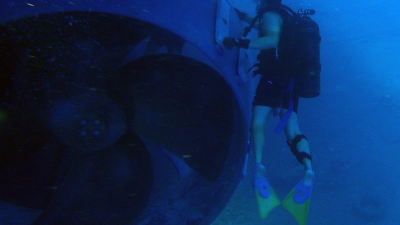 US military response Middle East — World News