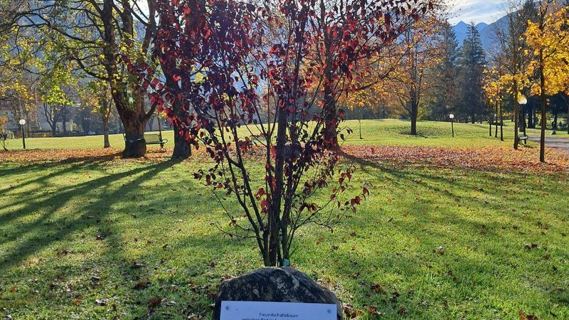 US oil prices chart — World News