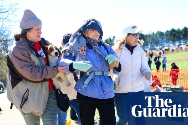 Police Clash with Activists: What Academic Research Reveals About Violence